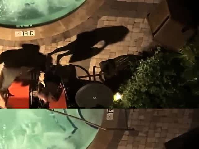 Cuckold NTB IR Brngd