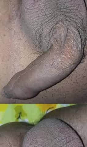 How Male Penis Is Getting Ready for Sex. Masturbation Stage in Slowly Growing Penis.