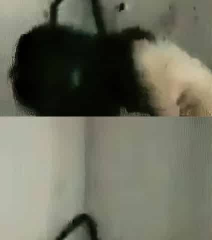 Cheating Asian MILF Caught on Tape with Lover