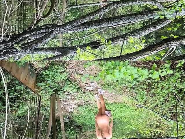 Blonde Solo Girl in Abandoned Sanatorium