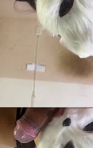 This day I'm a Wicked Kitten Who Wishes Milk