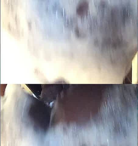 MEGHAN WOOD BLACK SWEETHEART RIDES TWERKS & CREAMS ON SCHLONG IN BUBBLE BATHROOM
