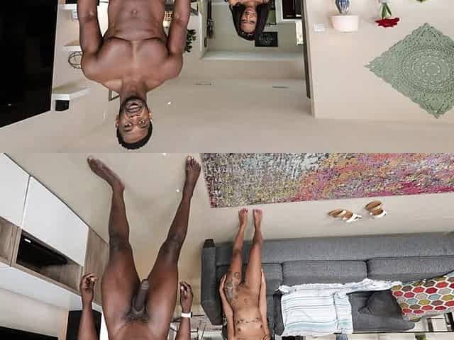 BANGBROS - Pleasure Size Black Pocketpussy Mini Stud-horse Stuffed With BBC