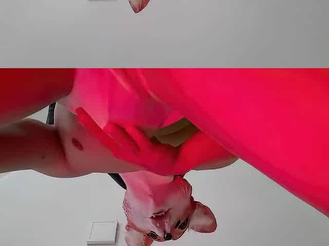 Fleshly Solo: Taking Fun in Her Vehement Sounds