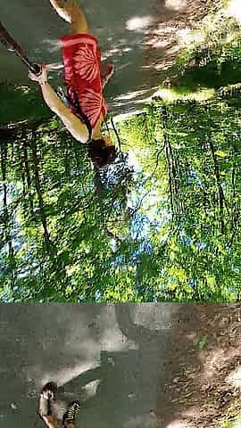 Undressed walk in the public forest
