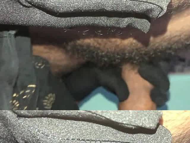 Indian Muslim Girl With Hijab Blowjob Cum Immfuck