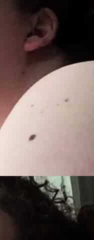 Mature Webcam Free BBW Porn VideoMobile