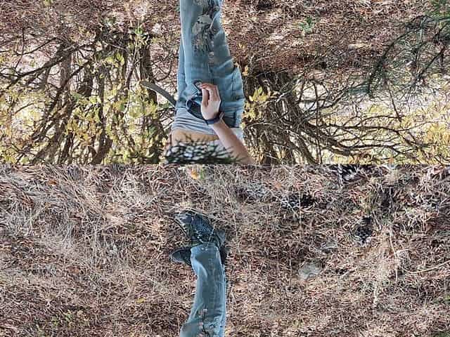 Pee in the Forest