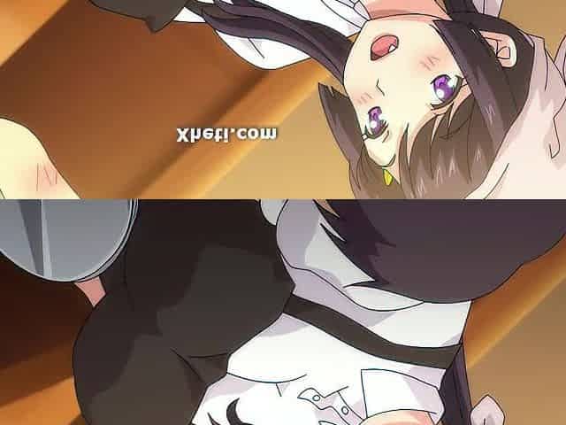 Manga Comics, Animation porn