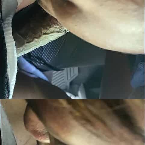 Backshots Pt. 5 (Backseat Action)