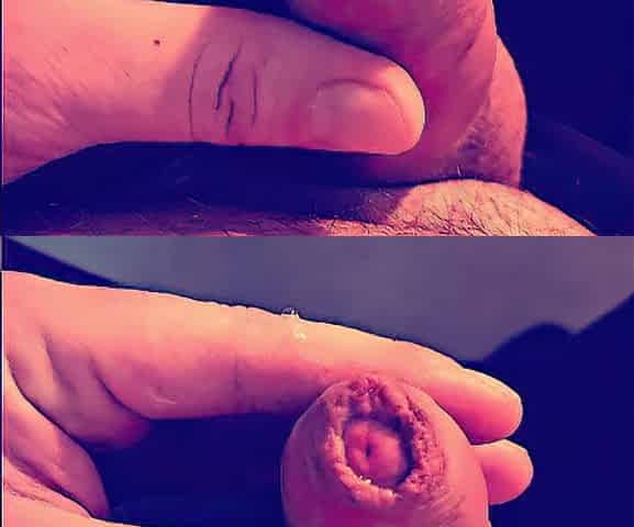 Also lascivious anew - edging, precum and ruined climax