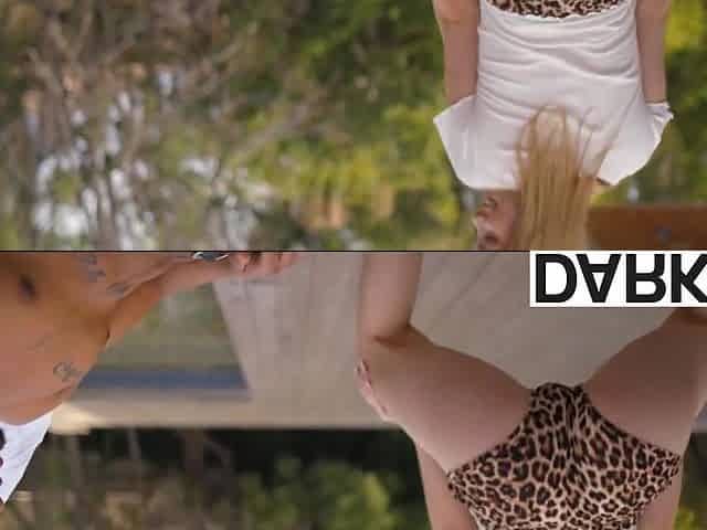 Nikole Nash - Naughty Begs For Dillons Pointer And His Huge Cock