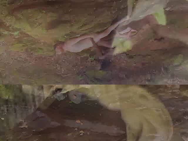 Outdoor Earth Day Compilation
