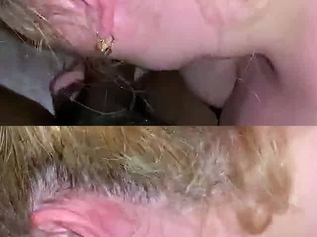 Mature German BBW Deepthroats BBC