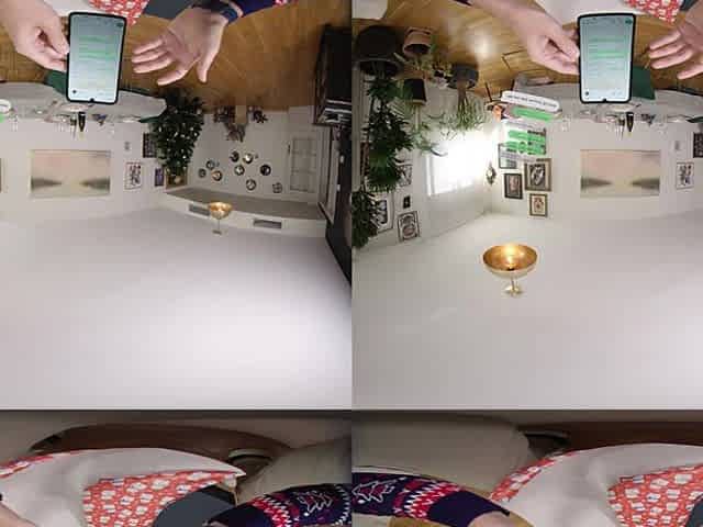 Virtual Real Porn IRL: EU Edition