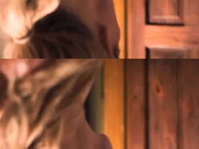 Aubree Valentine - Sexdoll Daddy