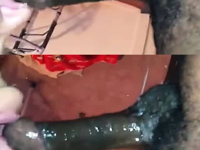 Big old fat granny is getting fucked hardcore