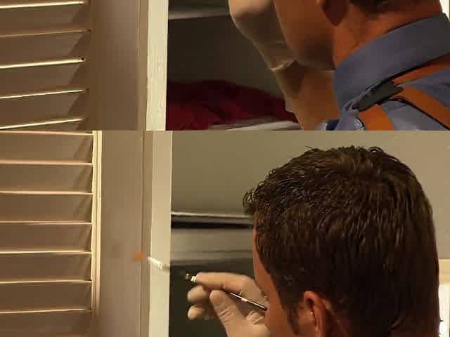 Jessi Summers, Jack Lawrence And Michelle Banks In Black Babe Enjoying To Have Cum In Mouth