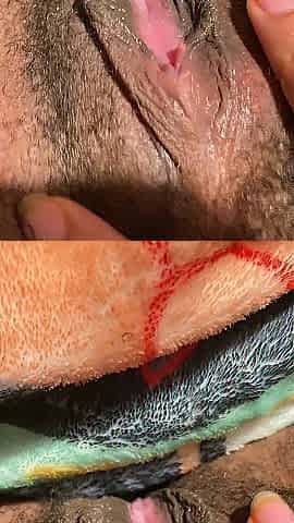My butterfly vagina