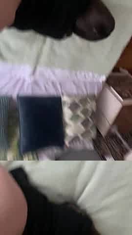 Banging large booty, soaked taut snatch grasps schlong hard.