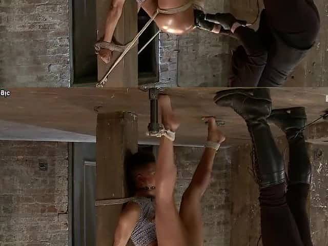 Black in back arch hogtie suspension