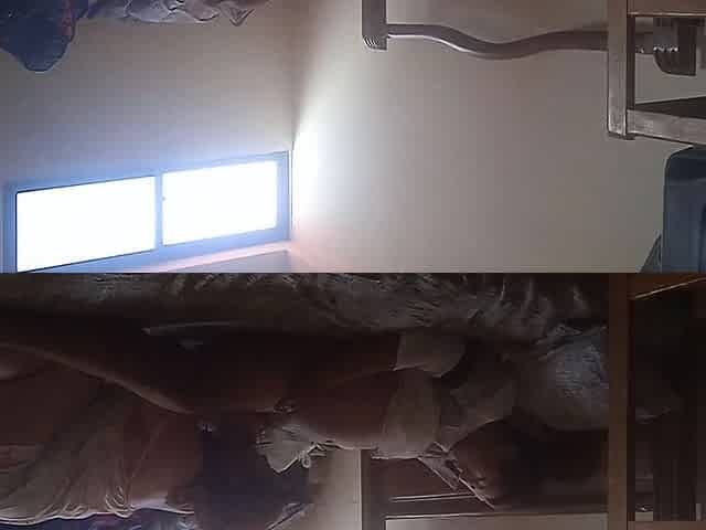 Maid Fuck in My House