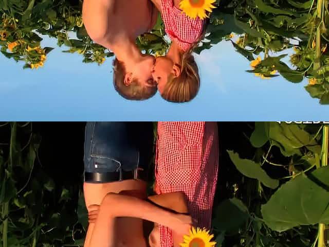 Amazing Sex In A Sunflower Field