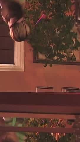 The Warm and Wet Sapphic Desires of Jesse Capelli