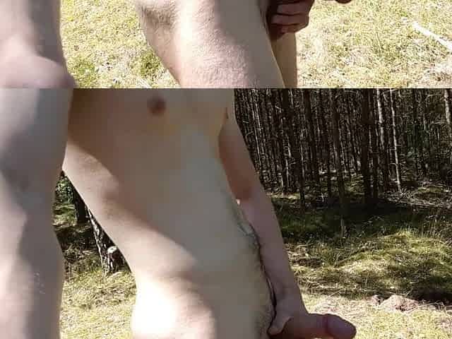 In nature's garb walk in forest