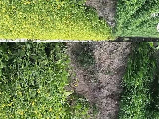 Punjabi Bhabhi Outdoor Sex. Bhabhi Fucked in Doggy Style in N Jungle
