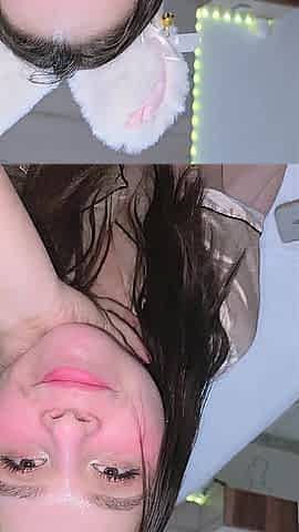 Tiny Kitten in Satin Pajamas Gets Caught Taking Photos and Things Get Wild