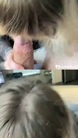 only-blowjob-