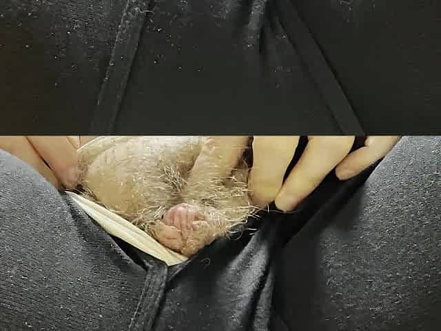 Lazily & sensually wanking my tdick with my Svakom Nymph until I cum hard
