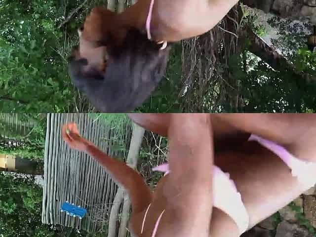 Super Tight Ebony GF Anal Cowgirl On BWC