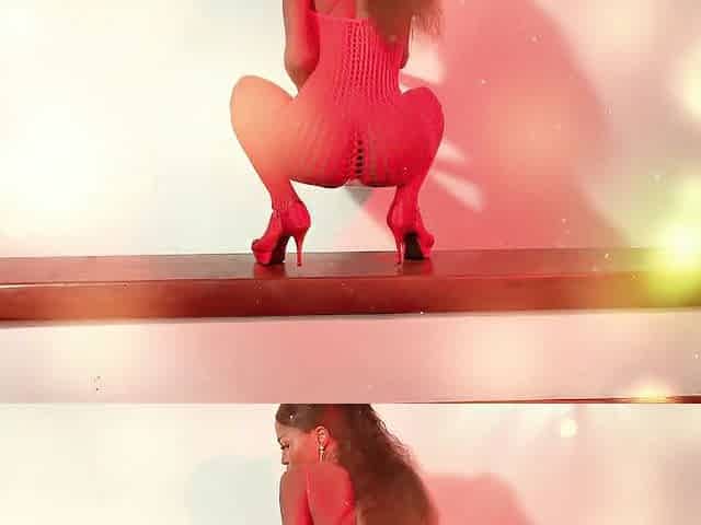 Fishnet - Dance - No pants