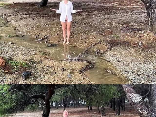 Ivy Roses - Rainy Day Wet in Public