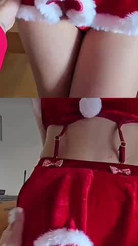 A Gift for Santa Claus