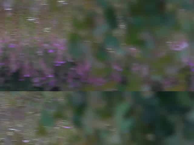 Screwed in the throat on the edge of the forest