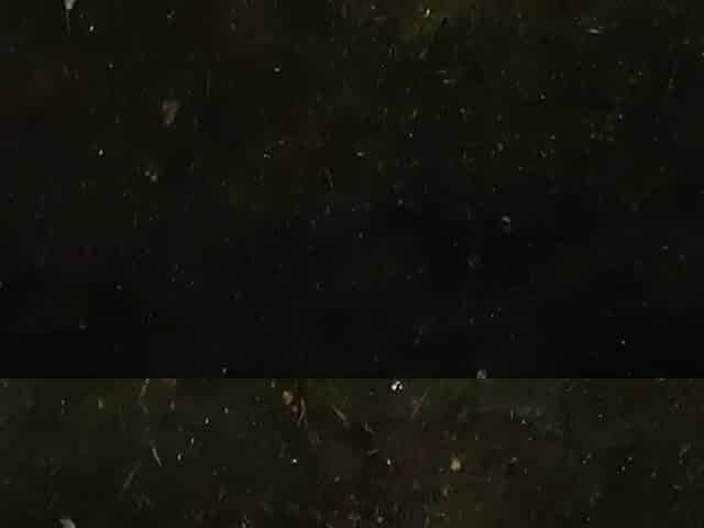 We had ardent sex in the rain - Lesbo_illusion