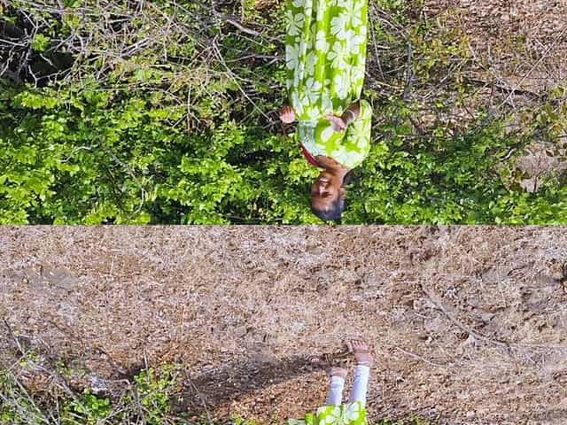 Desi Village Story - Bhabhi Used to Pluck Karvand Fruits From the Forest and Sell Them in the City - Hindi Audio XXX Movies.