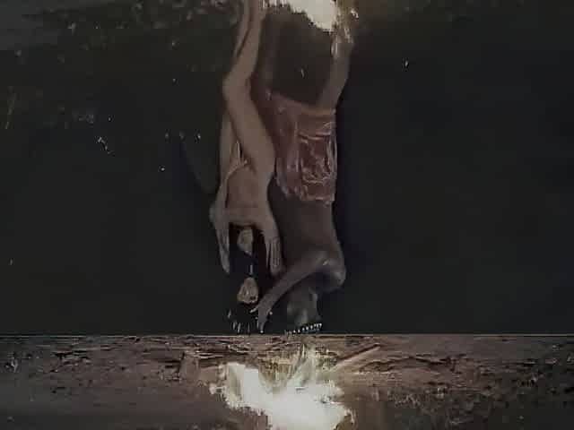 The Gorgeous mother I'd like to fuck and the Wild