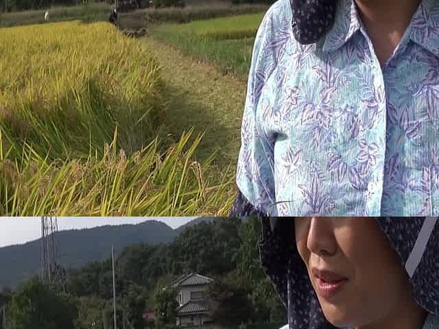 M979g06 Assault Shooting of a Mature Woman While Harvesting Rice! a Nave Country Mature Woman in Her 60S Who Decided to Appear I