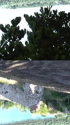 Blow Job and Cum Swallow at the City Castle