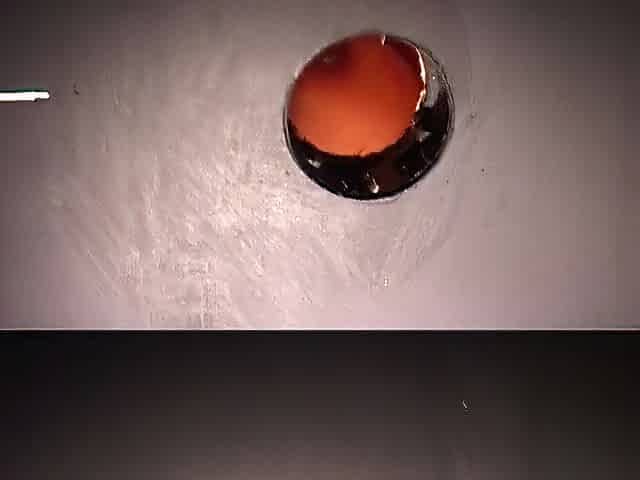 I Took It in the Booty!