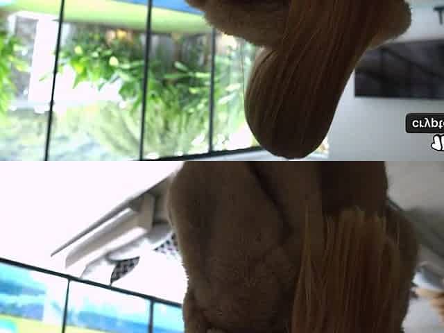 Cheating with Curvaceous Blond