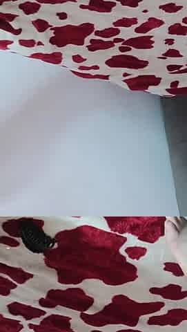 Arab Porn Moroccan Ebony Threesome Arab Girl 2