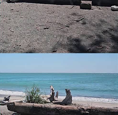 Polla dura de 6 pulgadas en playa/ 6 hard Schlong at beach