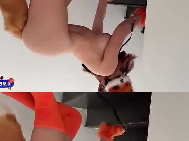 Best Xxx Video Stockings Best