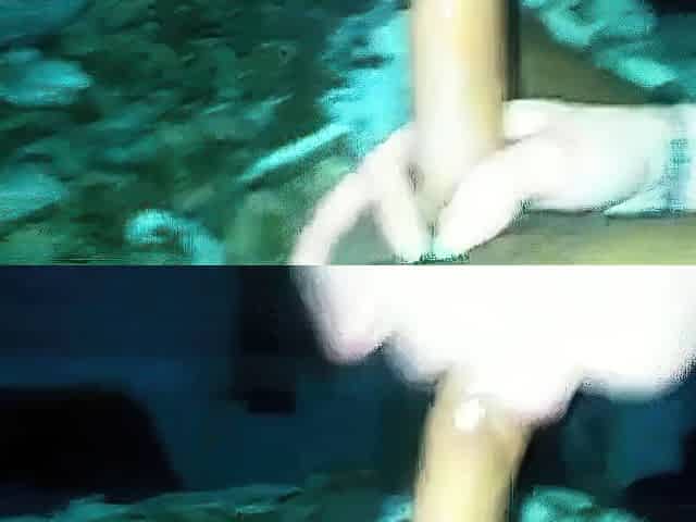 Amateur Blowjob Deepthroat