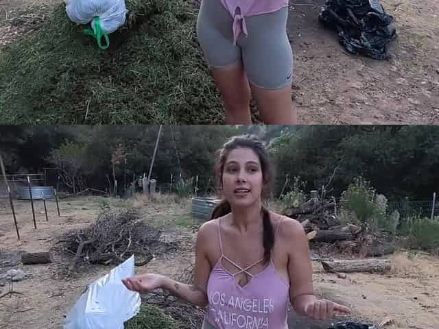 Growers wife is jealous of his fresh girlfriend so I get my ramrod and balls drained.